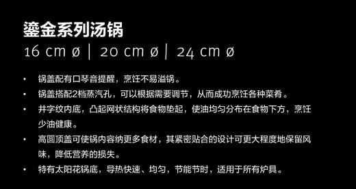 【春上新】10楼菲仕乐       24㎝鎏金汤锅 吊牌价4980元   现4980元 商品图4