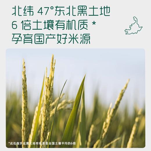 英氏-宝宝6个月以上米糊辅食123阶段营养米粉258g 商品图3