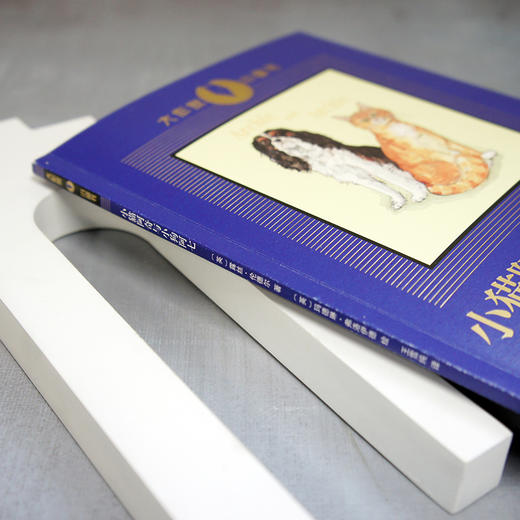 小猫阿奇与小狗阿七 商品图3