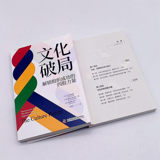 文化破局：解锁组织成功的四股力量 商品图5