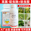高氯啶虫脒呋虫胺套餐杀虫剂大田小麦果树柑橘蚜虫专用农用杀虫剂 商品缩略图1