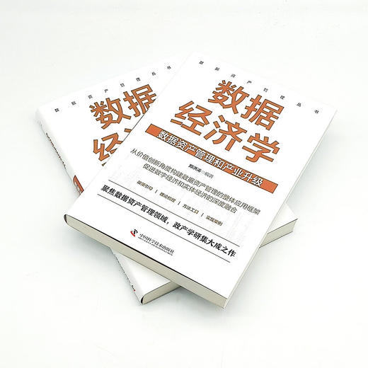 数据经济学 : 数据资产管理和产业升级  数据资产管理丛书 商品图5