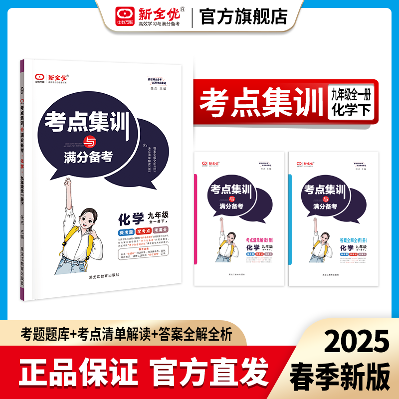 2026春九年级 人教版 化学下册《考点集训与满分备考》