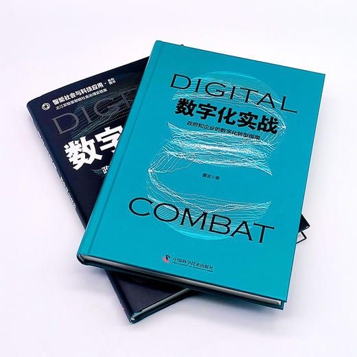 数字化实战：政府和企业的数字化转型指南  智能社会与科技应用系列图书 商品图4