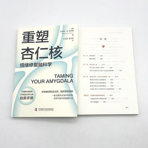 【樊登推荐】重塑杏仁核：情绪修复脑科学（一套科学的大脑训练指南！训练强大内心的自救手册！） 商品图8