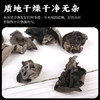 徽珍黄山黑木耳150g  山珍干货 肉厚无根不掺不熏 煲汤烹饪火锅食材 /粮油调味 /南北干货 /干菜类 商品缩略图1