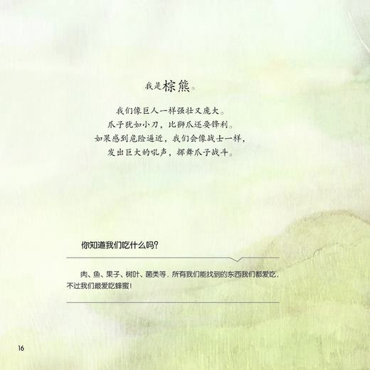 《你好！动物宝宝》（全6册） 商品图12