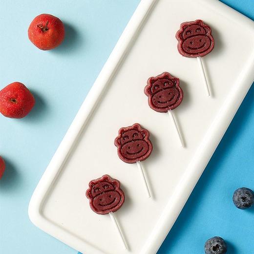 金晔蓝莓山楂棒 108g（内含约9-10支） 商品图2