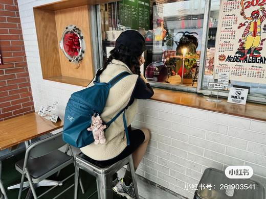 鸟 轻便小巧HELIAD15 男女可用 防泼水双肩背包 Z-15088 商品图9