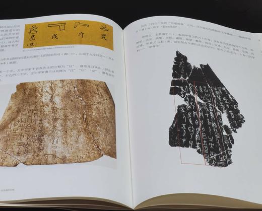 钤印+印签：《中国书法之美 汉字美的历程》，平装，16开，方建勋著，北京工艺美术出版社2025年1月一版一印，455页，定价：99，售价：89。 商品图6