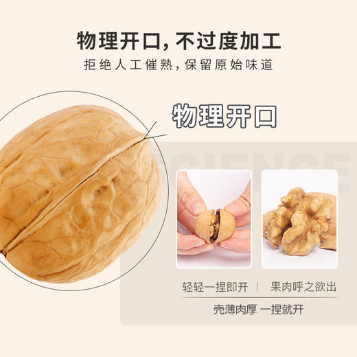 三只松鼠纸皮核桃210g 新货零食坚果特产薄皮大个核桃干果原味 商品图5