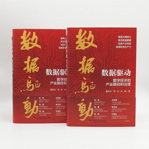 数据驱动：数字经济的产业路径和治理 商品图4