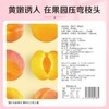 百草味黄桃干 100g 商品缩略图4