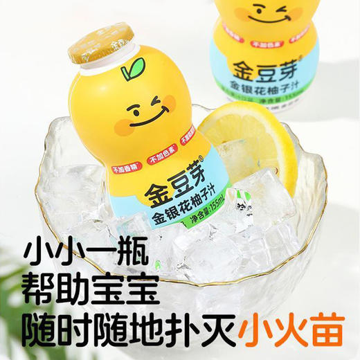 金豆芽金银花柚子汁620ml（155ml*4） 商品图4