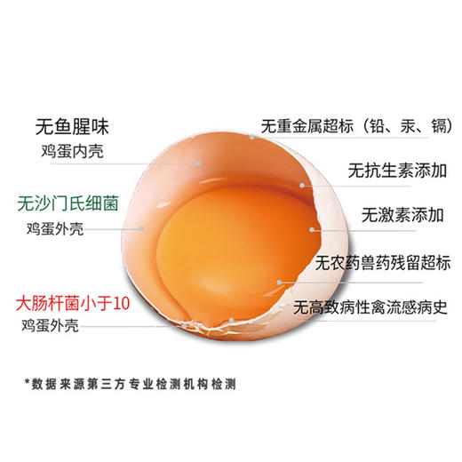 【可生食鸡蛋】美味无腥味 生食也可口 谷物喂养 蛋白清澈粘稠 蛋黄凝结度高 ！【顺丰发货】 商品图5