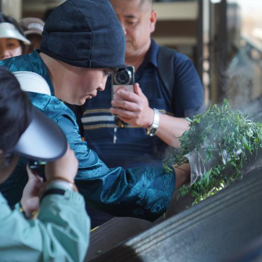 【云南·景迈山】导游服务，带你走进布朗族古寨、千年茶林、世居古老民族 商品图3