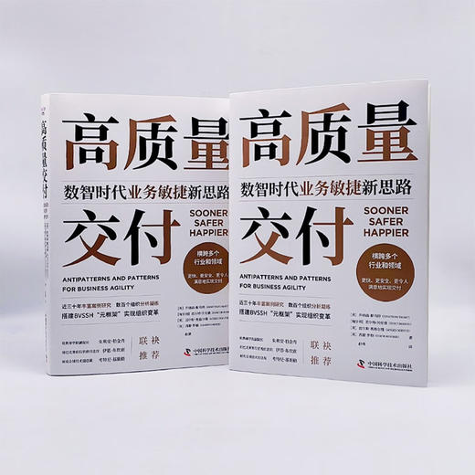 高质量交付：数智时代业务敏捷新思路 商品图8