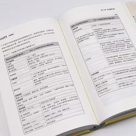 人类崛起：书写500万年的人类演化、迁徙与族群更替 商品图9