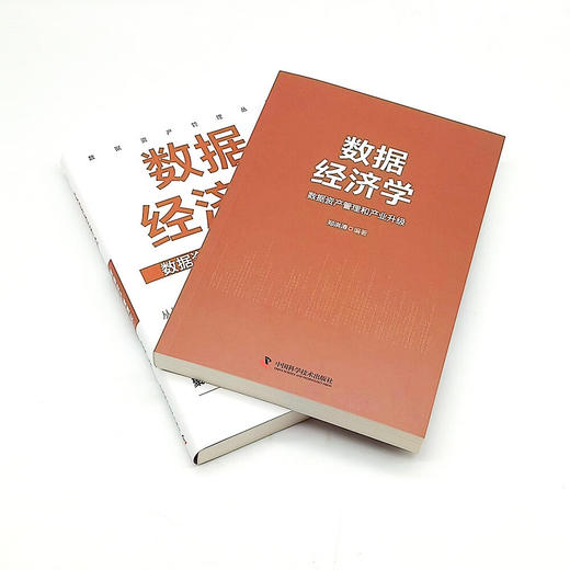 数据经济学 : 数据资产管理和产业升级  数据资产管理丛书 商品图6