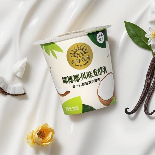 北海牧场椰椰发酵乳酸奶 100g*3/组 商品图0