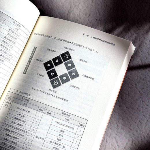 大规模因材施教的课程模式 新质课程文化丛书 林俊红 课程设计 商品图10