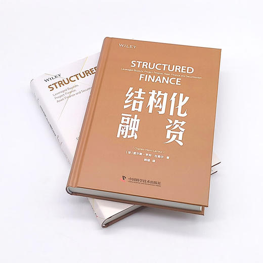 结构化融资：杠杆收购、项目融资、资产融资和证券化一本通 商品图6