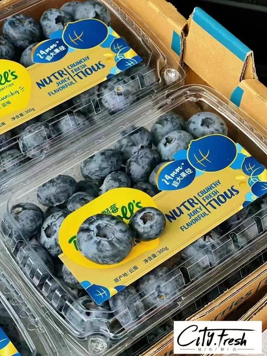 【BF】24#宝石蓝莓王300g 商品图0