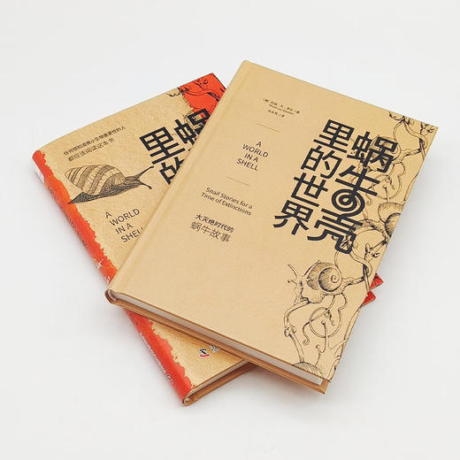 蜗牛壳里的世界：大灭绝时代的蜗牛故事 商品图3