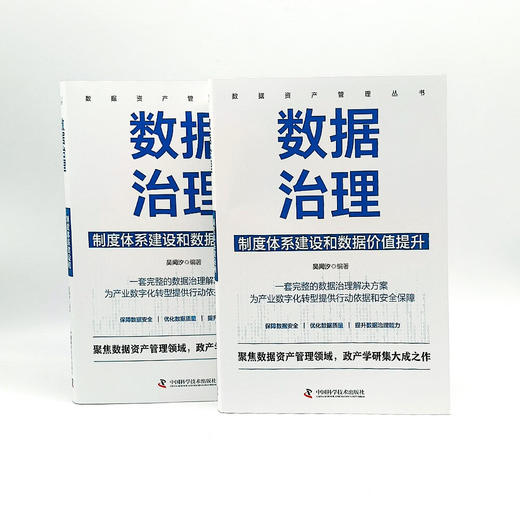 数据治理 : 制度体系建设和数据价值提升  数据资产管理丛书 商品图8