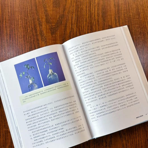 花开四季：花园里的科学（一本书教会你科学管理你的植物！植物小白都能看懂的科普力作！） 商品图4