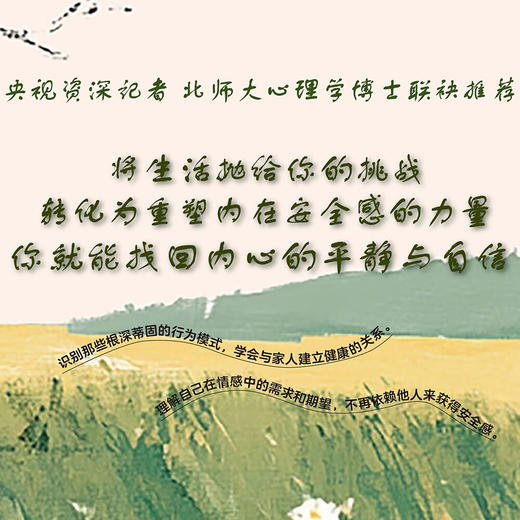 安全感是内心长出的盔甲（破解焦虑、应对内耗的实用方法！重塑内在安全感！） 商品图1