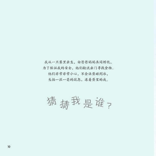 《你好！动物宝宝》（全6册） 商品图14