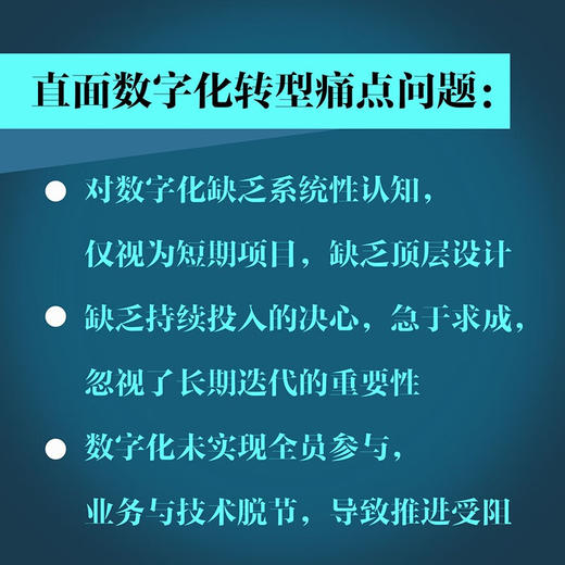 数字化实战：政府和企业的数字化转型指南  智能社会与科技应用系列图书 商品图1