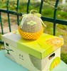 牛3蜜瓜|网纹甜瓜中的高级品种，来自日本，历时三年反复栽培，才将这一美味根植中国。因其独一无二的绝佳口味，被称作“甜瓜贵族”呢💚💚 商品缩略图5