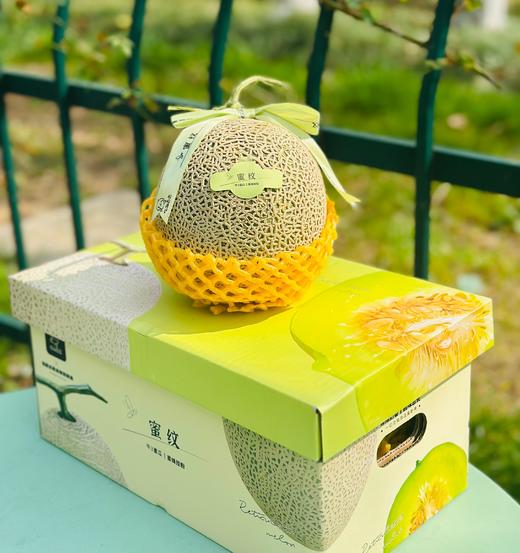 牛3蜜瓜|网纹甜瓜中的高级品种，来自日本，历时三年反复栽培，才将这一美味根植中国。因其独一无二的绝佳口味，被称作“甜瓜贵族”呢💚💚 商品图5