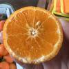 云南 虎柑 口感细腻 纯甜无酸 🍊柑橘味浓郁 ）29.9/件 礼盒🎁装 大果 5斤 商品缩略图0
