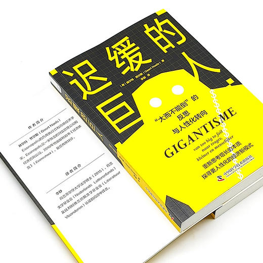 迟缓的巨人：“大而不能倒”的反思与人性化转向 商品图6