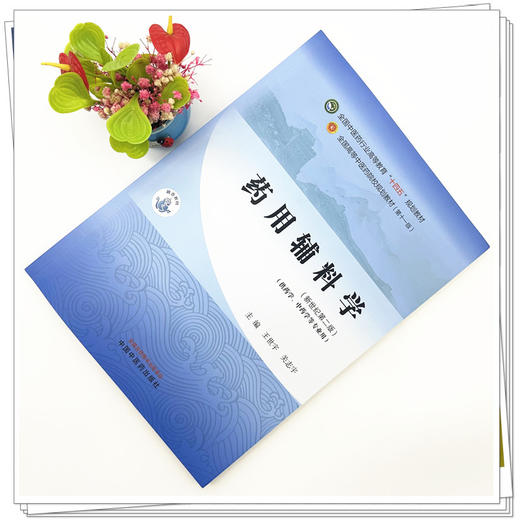 药用辅料学 王世宇 关志宇 主编 新世纪第二版 中国中医药出版社 全国中医药行业高等教育十四五第十一版规划教材 商品图1