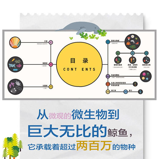 充满生机的地球（探索地球生物多样性的科普入门书！） 商品图2