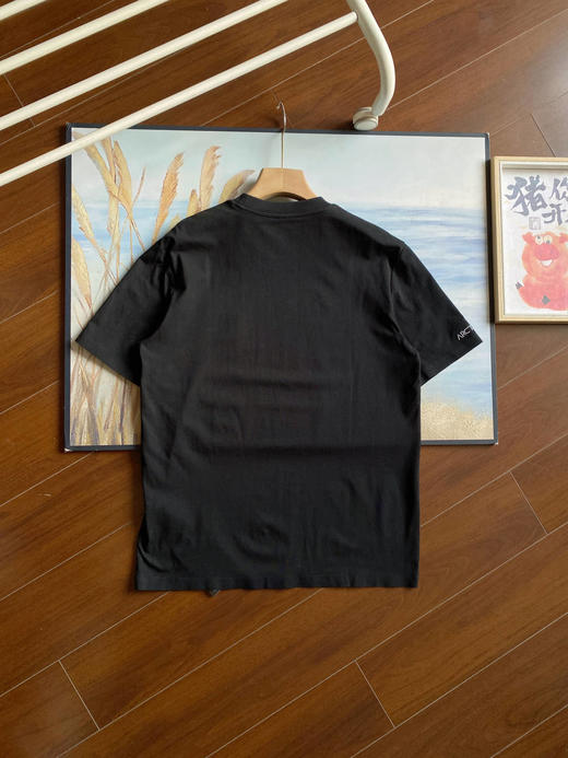 点此购买 始祖鸟春夏季三色休闲男女舒适百搭棉质短袖T恤 LL 311606 商品图3