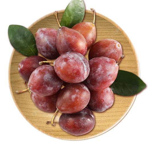 智利西梅  约500G /份 商品图0