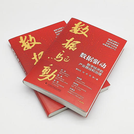 数据驱动：数字经济的产业路径和治理 商品图8