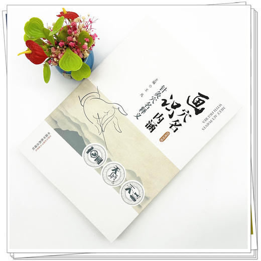 画穴名 识内涵  针灸穴名释义（汉英对照）王凡 主编 中国中医药出版社 针灸穴名解书籍 本书能够见图知义、见图知用通俗易懂书籍 商品图1
