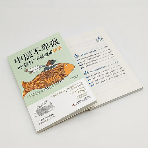 中层不卑微：把“摸鱼”下属变成精英 商品图6