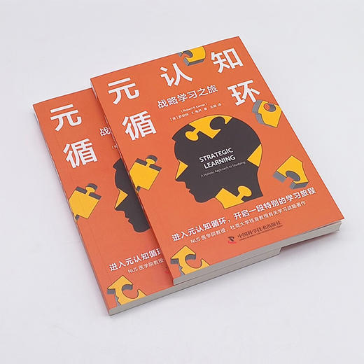 元认知循环：战略学习之旅（用元认知优化思维方式，打破学习困境！） 商品图3
