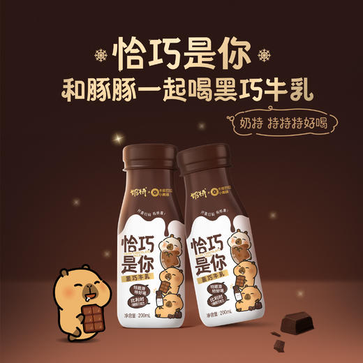 【奶特X卡皮巴拉小黄豚】奶特黑巧牛乳黑巧味全脂调制乳PET瓶200ml×15瓶 商品图5