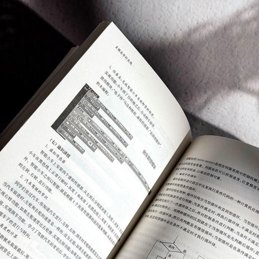 多模态学科实践 新质课程文化丛书 学科课程设计 初中案例 商品图12