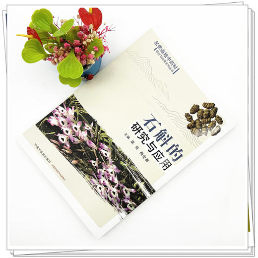 石斛的研究与应用 梁奇 梅全喜 主编 中国中医药出版社 名贵道地中药材研究与应用系列丛书 商品图1