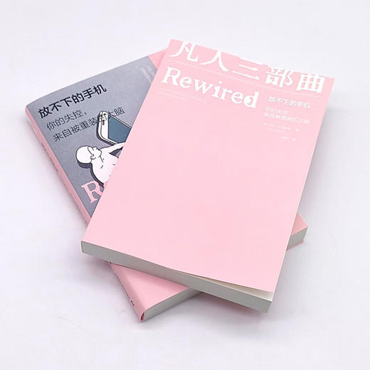 放不下的手机：你的失控，来自被重装的大脑 商品图7