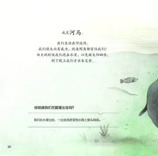 《你好！动物宝宝》（全6册） 商品图7